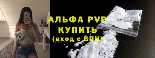гашик Инсар