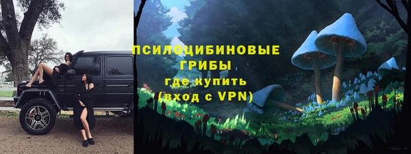первитин Каменка